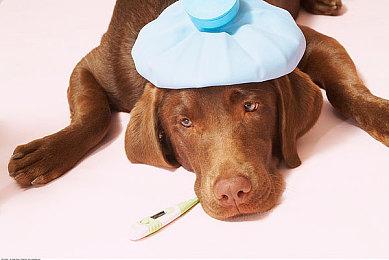 《电锯甜心RePOP》保留争议成就：偷瞄女主角裙底